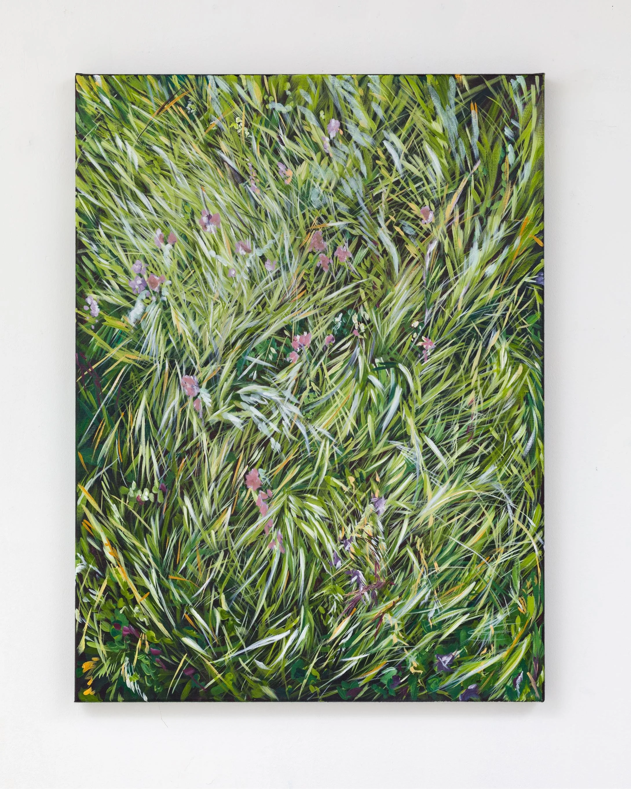 Daisy McMullan_All You Ever Wanted Was Here All Along_2024_acrylic on linen_80 x 60cm.jpg
