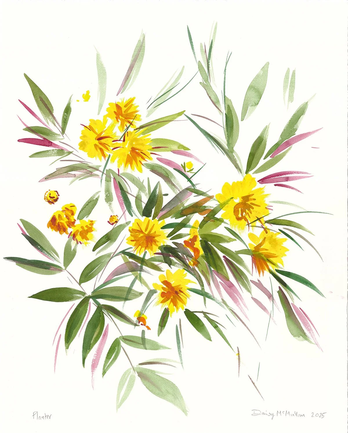 Planter, 2025, watercolour on Arches paper, 50 x 40cm