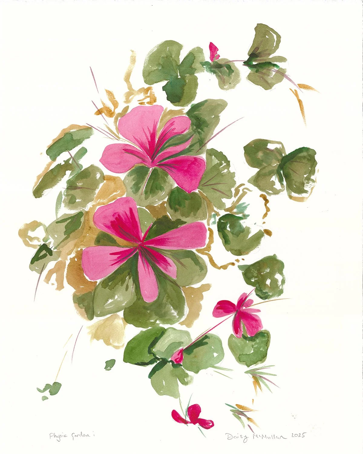 Physic Garden i, 2025, watercolour on Arches paper, 50 x 40cm