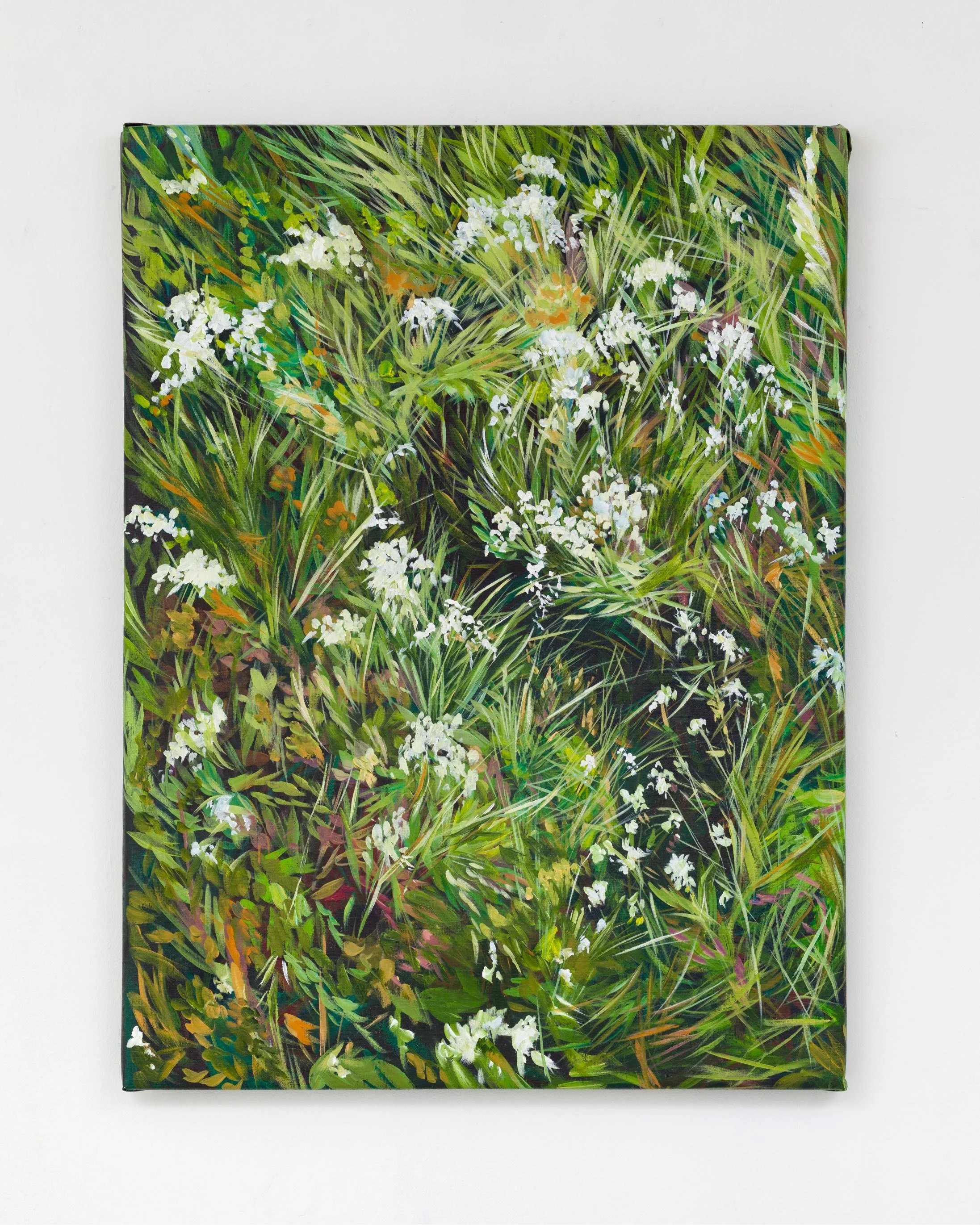 Desire Line, 2024, acrylic on linen, 80 x 60cm