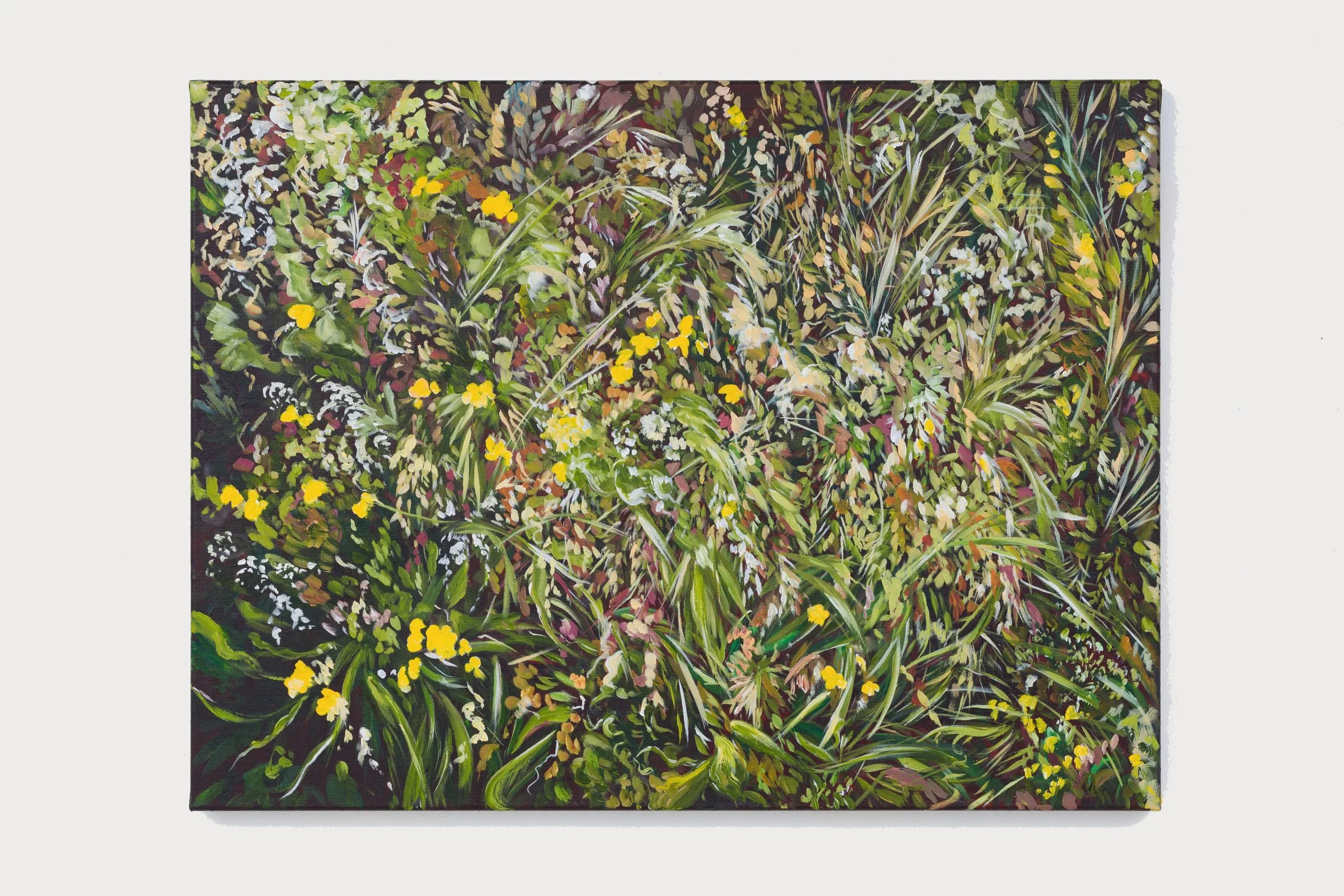 The Ground Glimmered Underfoot, 2024, acrylic on linen, 60 x 80cm