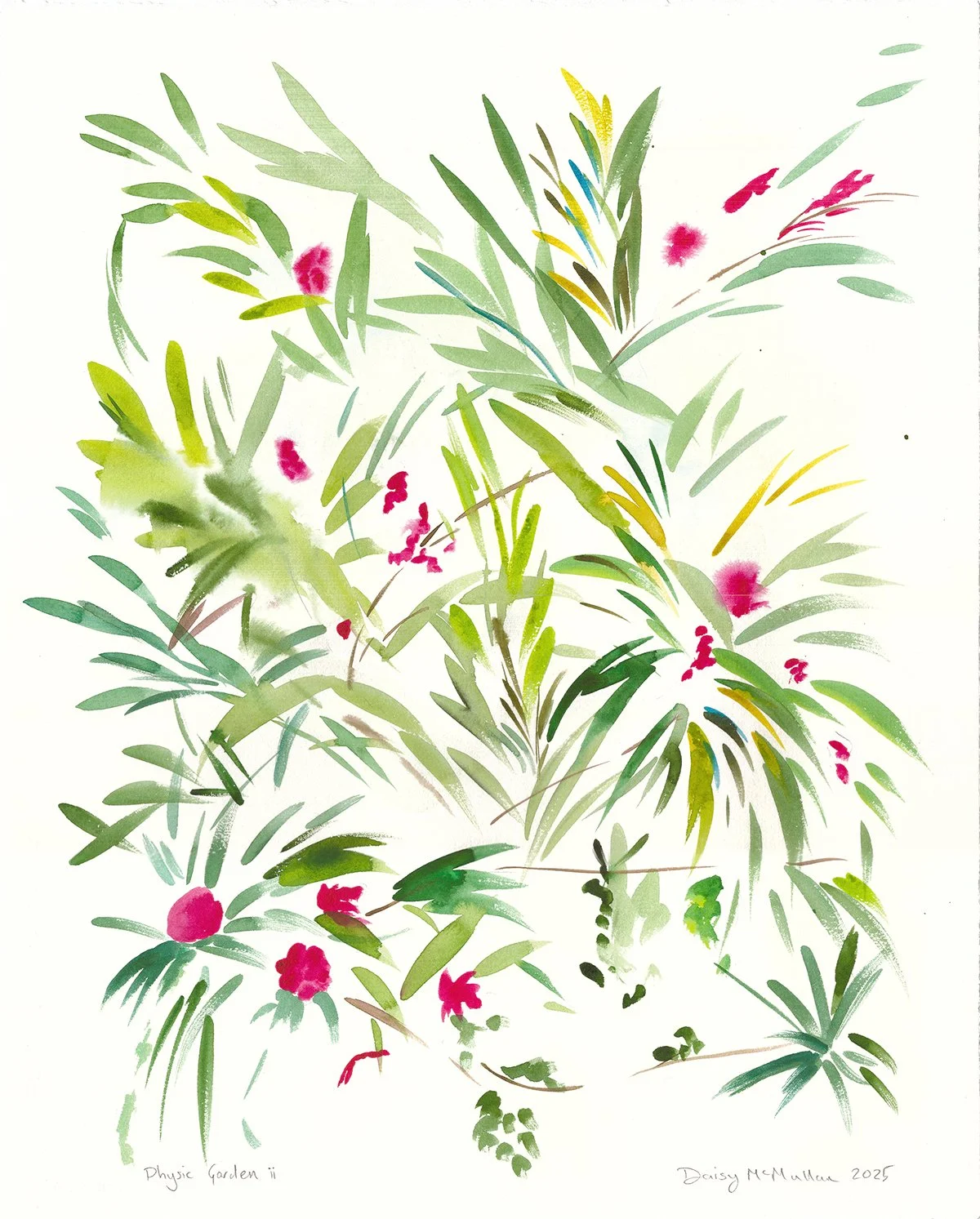 Physic Garden ii, 2025, watercolour on Arches paper, 50 x 40cm