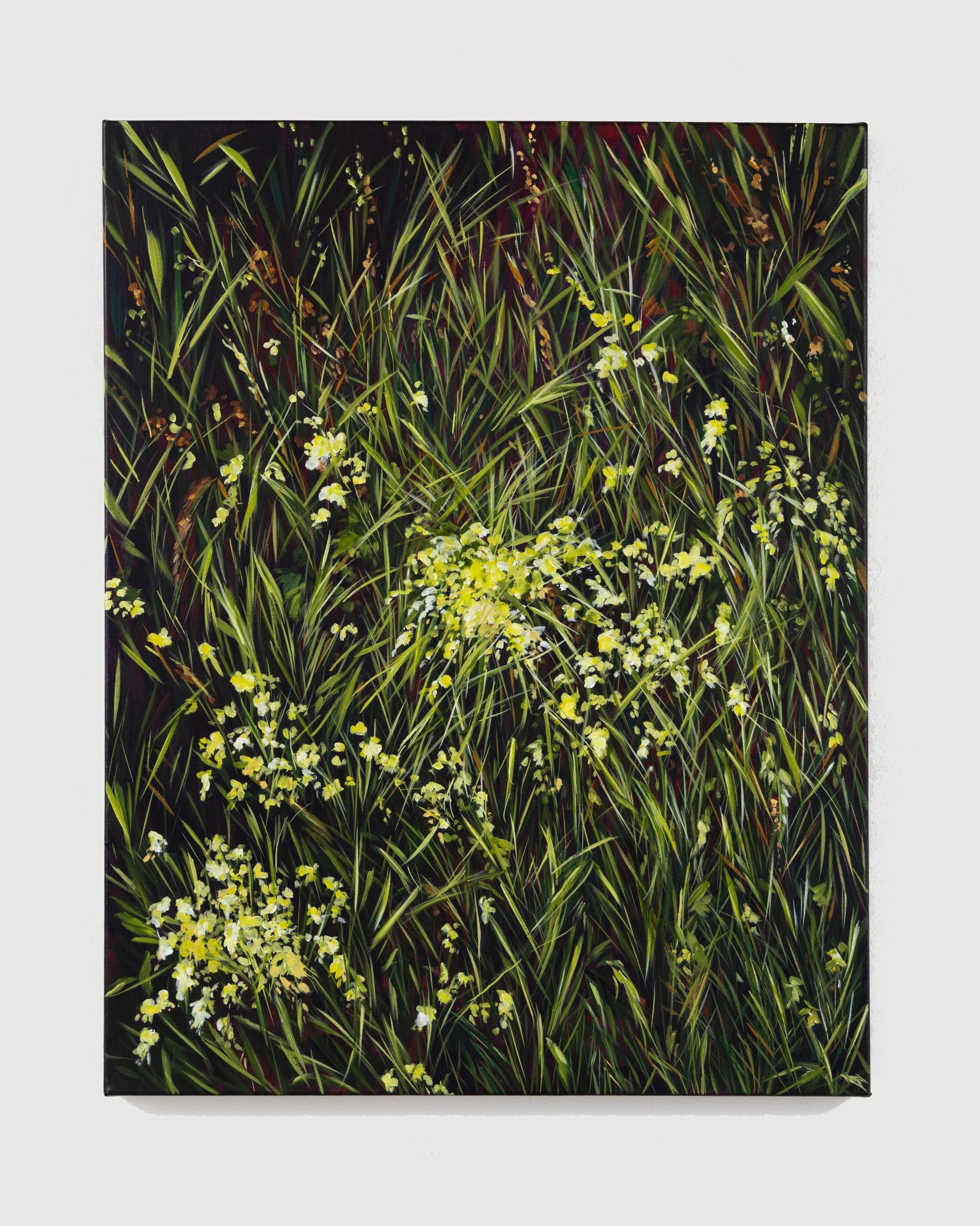 Glimmers (Morning Walk), 2025, acrylic on linen, 76 x 60cm