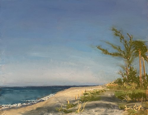 Morning Light, Captiva