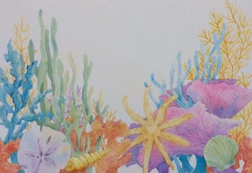 CM-sealife.jpg