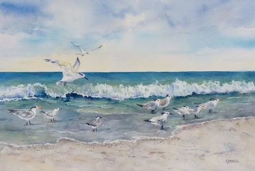 CM-water&birds.jpg