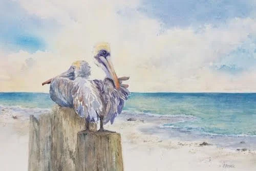CM-pelicans.jpg