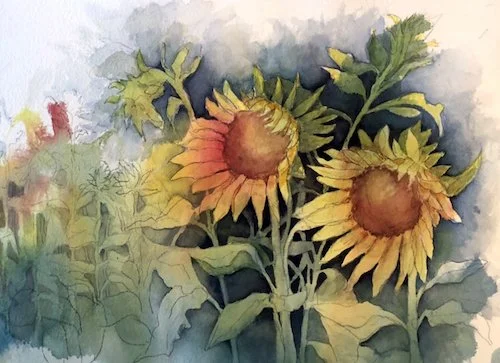   AMONG THE SUNFLOWERS  Framed Size ixx- Watercolor - $425.00   CLICK HERE TO CHECK ON AVAILABILITY    