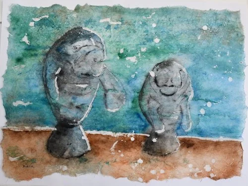 Manatees hanging around