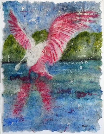 Spoonbill fishing