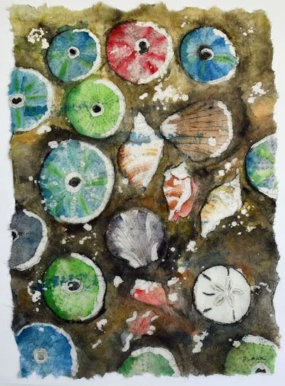 SWFL Shells!