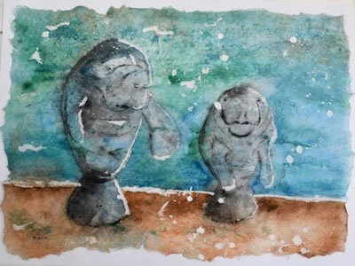 Manatees hanging around