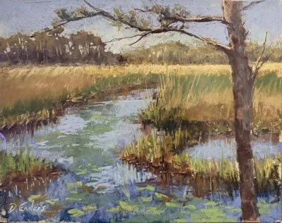 Florida Marsh