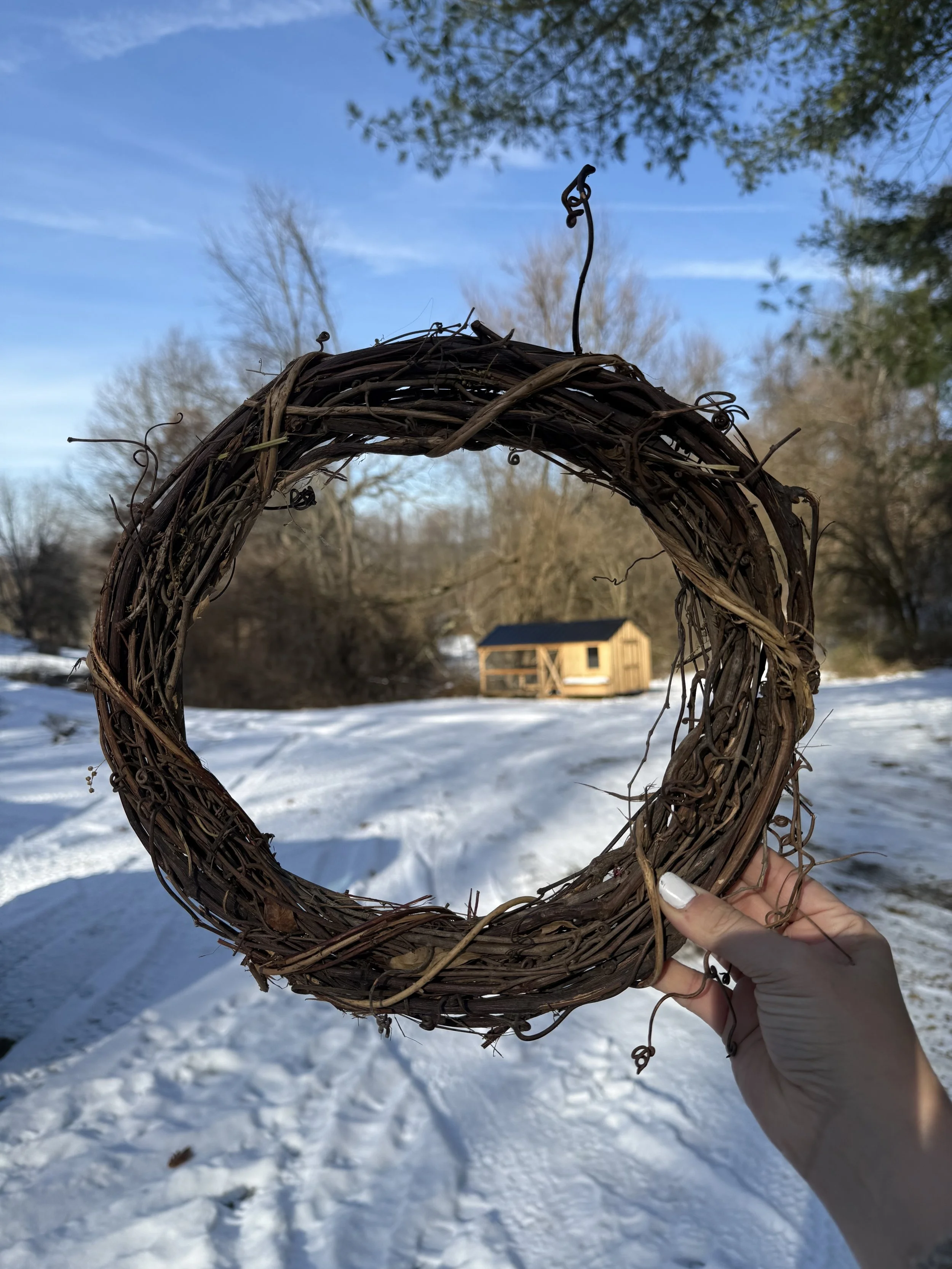 grapevine wreath.jpg