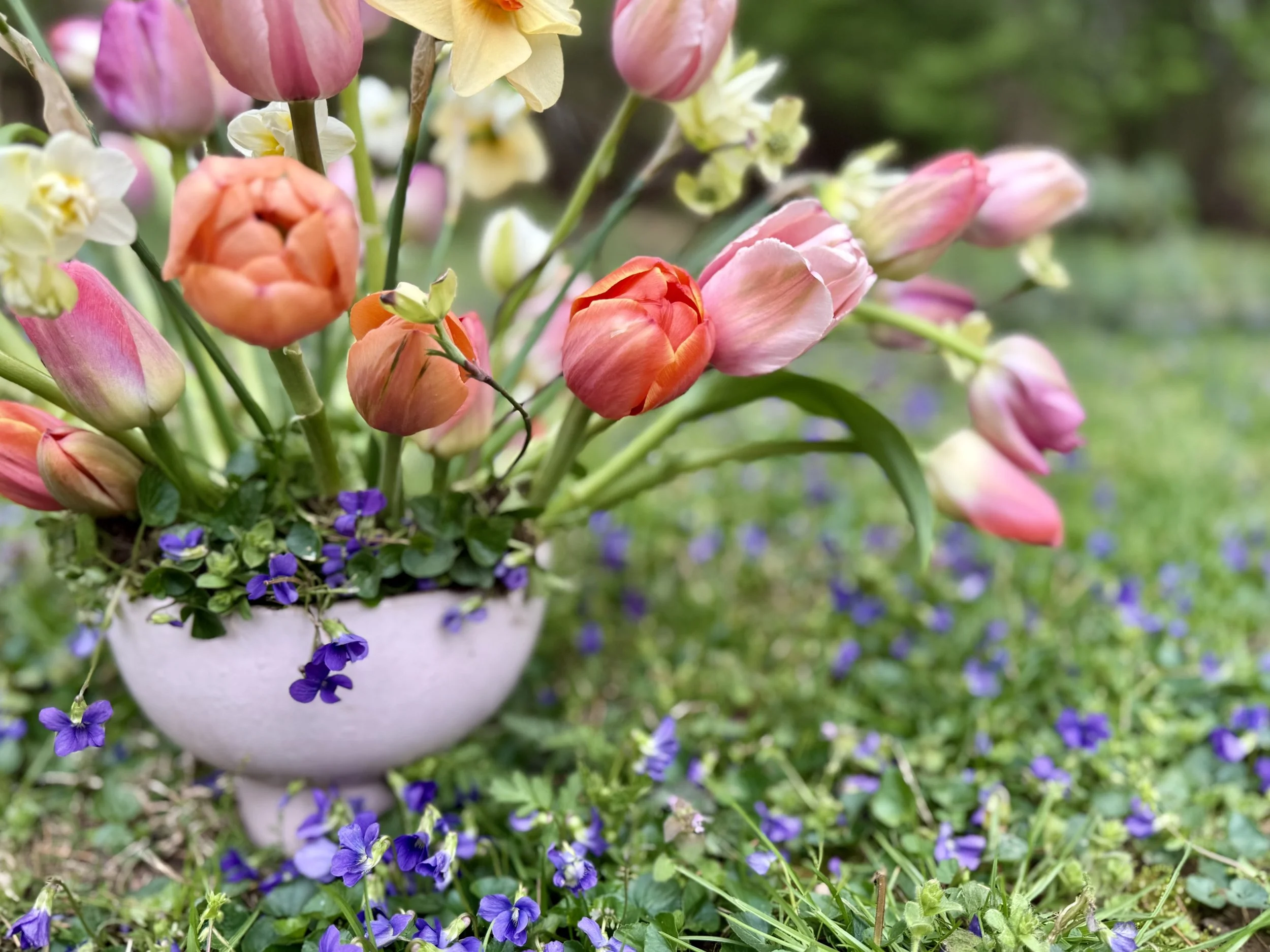 tulip arrangement.jpg