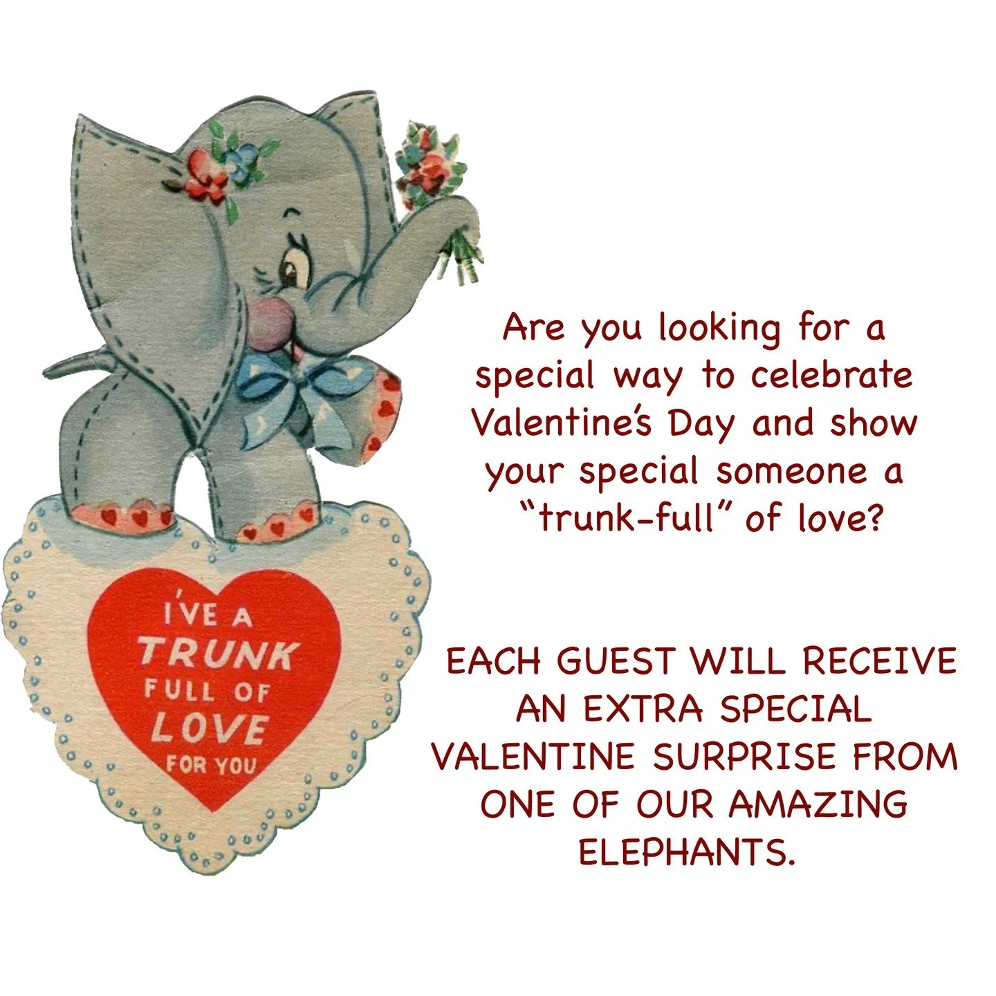 Start Your Next Adventure
Are you looking for a special way to celebrate Valentine&rsquo;s Day and show your special someone a &ldquo;trunk-full&rdquo; of love?

The elephants at The Preserve are exited to call your theirs at our Valentine&rsquo;s Da