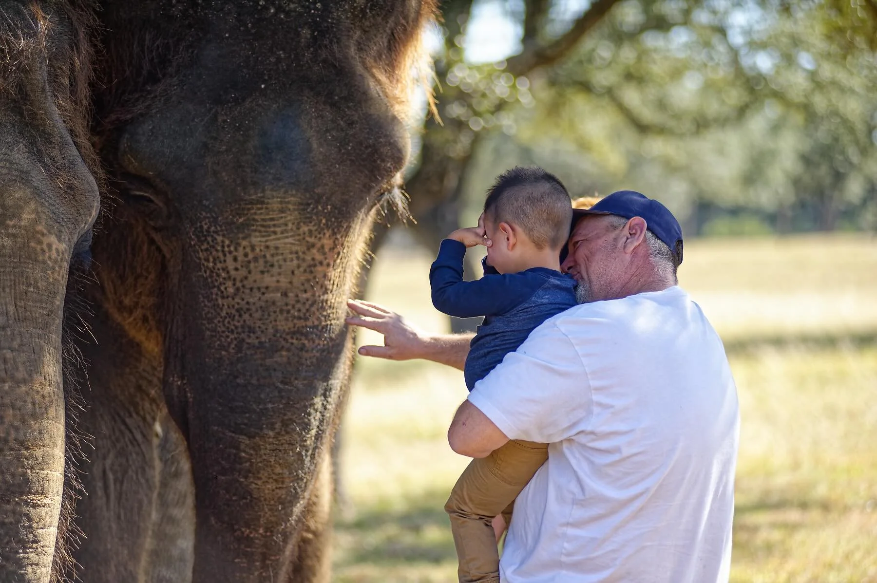 &ldquo;They say an elephant never forgets. What they don&rsquo;t tell you is, you never forget an elephant.&rdquo; &mdash; Bill Murray

Meet our elephants by booking an Elephant Experience at The Preserve, Fredericksburg TX. 

Go to VisitThePreserve.