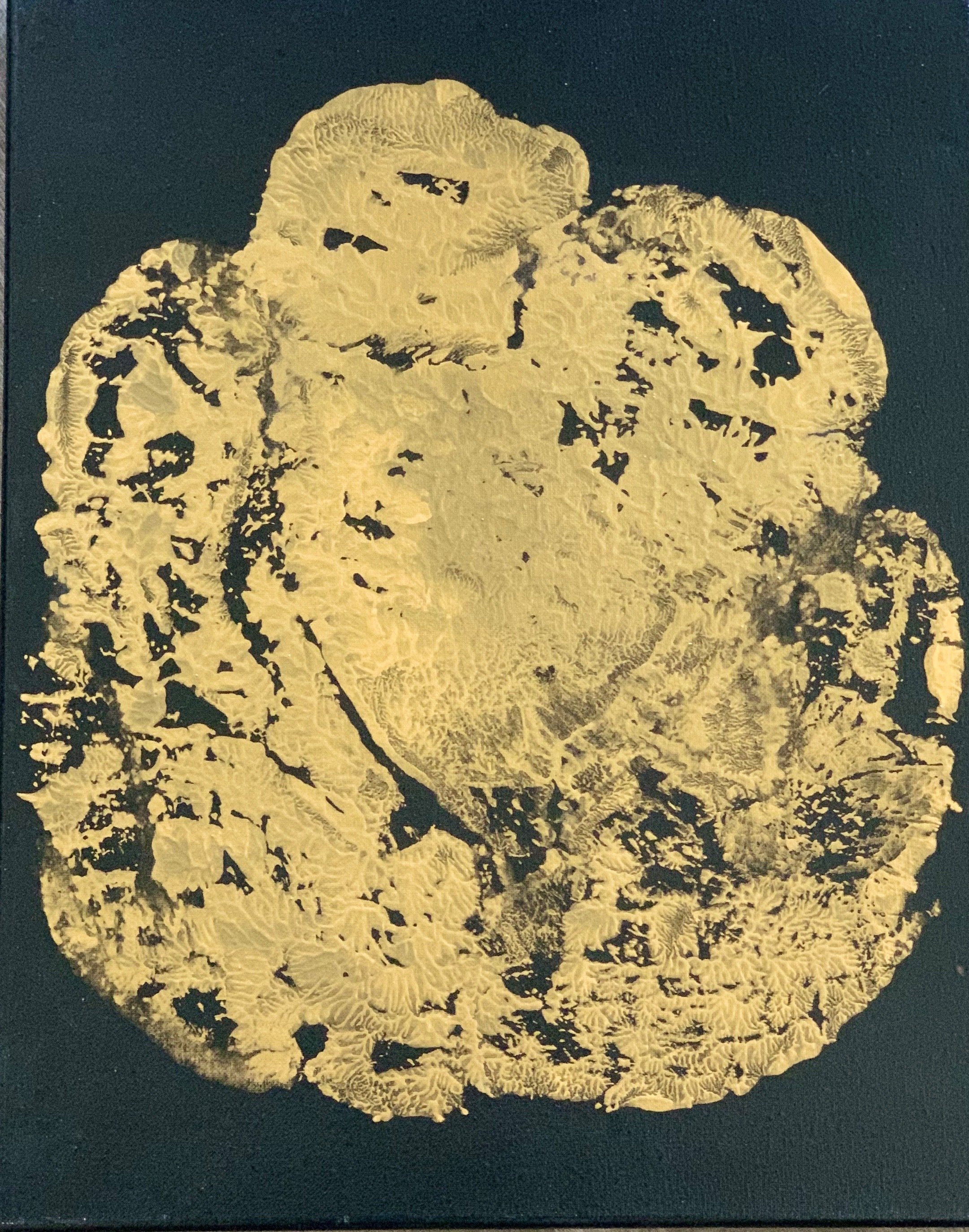 Gold elephant footprint on black canvas. Great elephant gift from The Preserve Gift Shop in Fredericksburg, Texas.