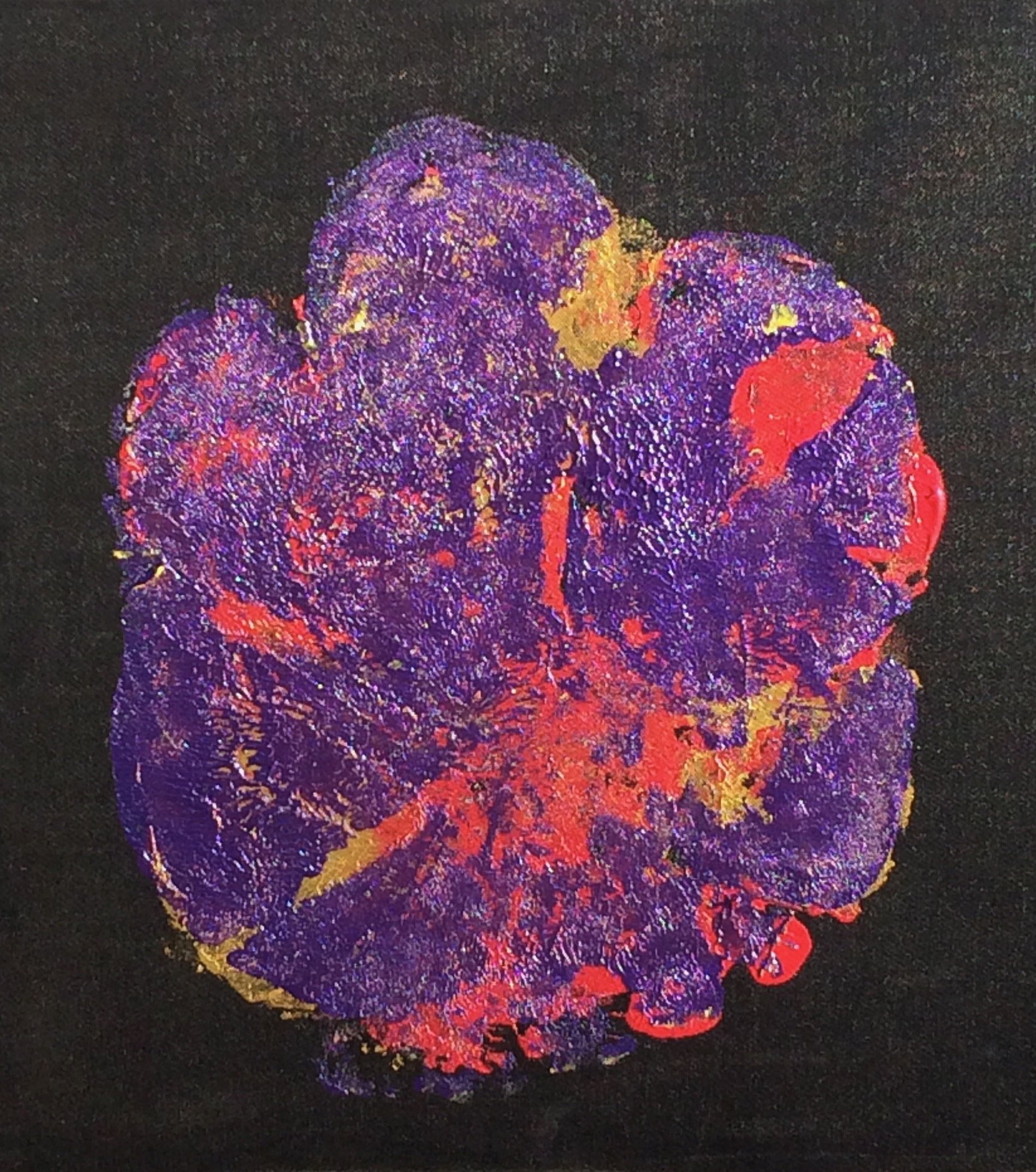 Yellow, orange and purple elephant footprint, printed on black canvas at The Preserve gift shop romantic things to do in Fredericksburg, Texas.