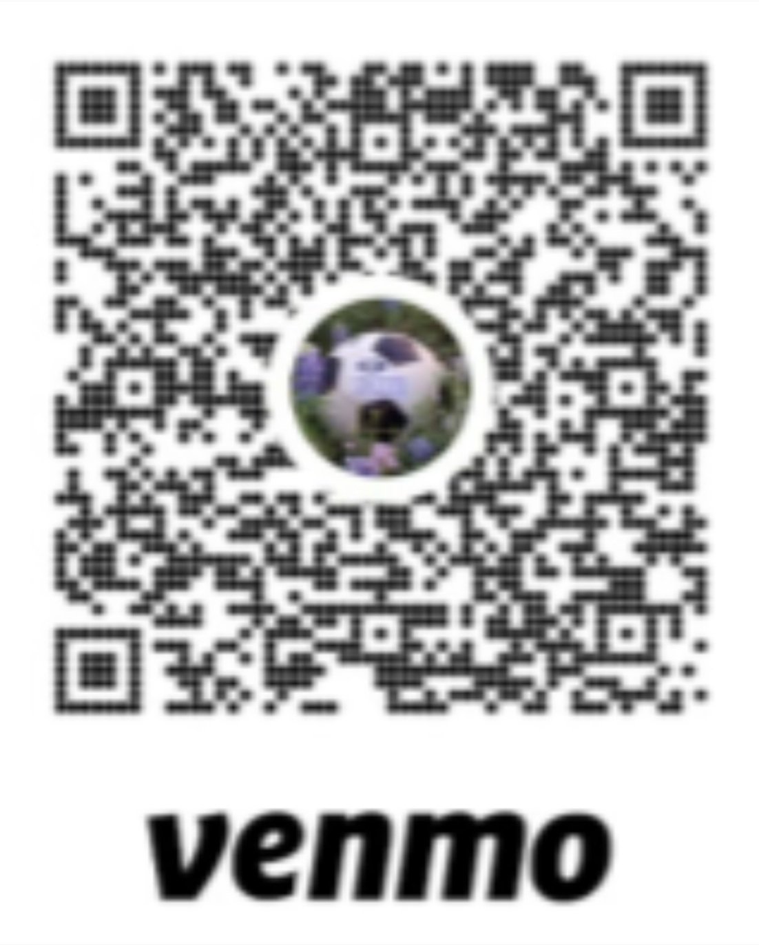 VENMO.jpg