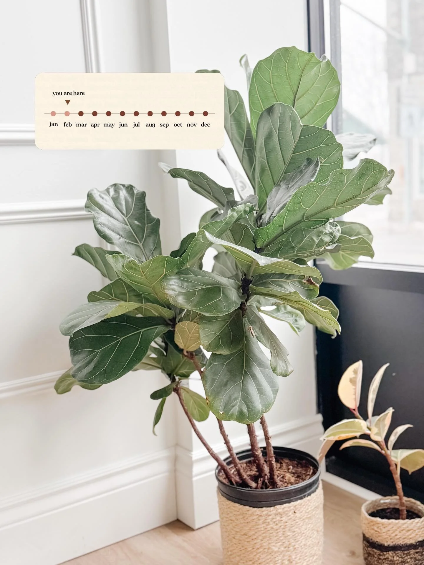 2026 at the clinic so far 📸