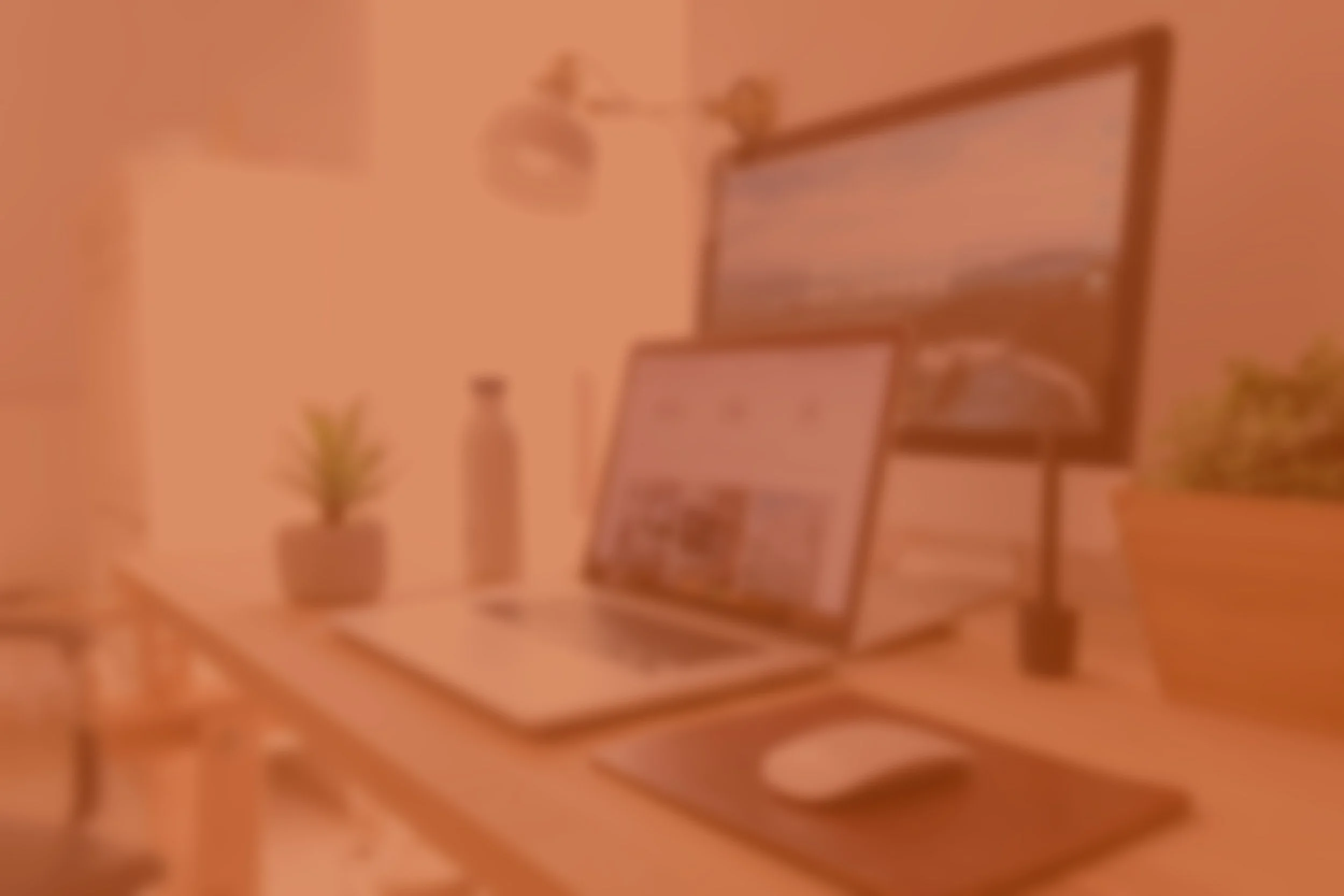 Database Development & Technical Support