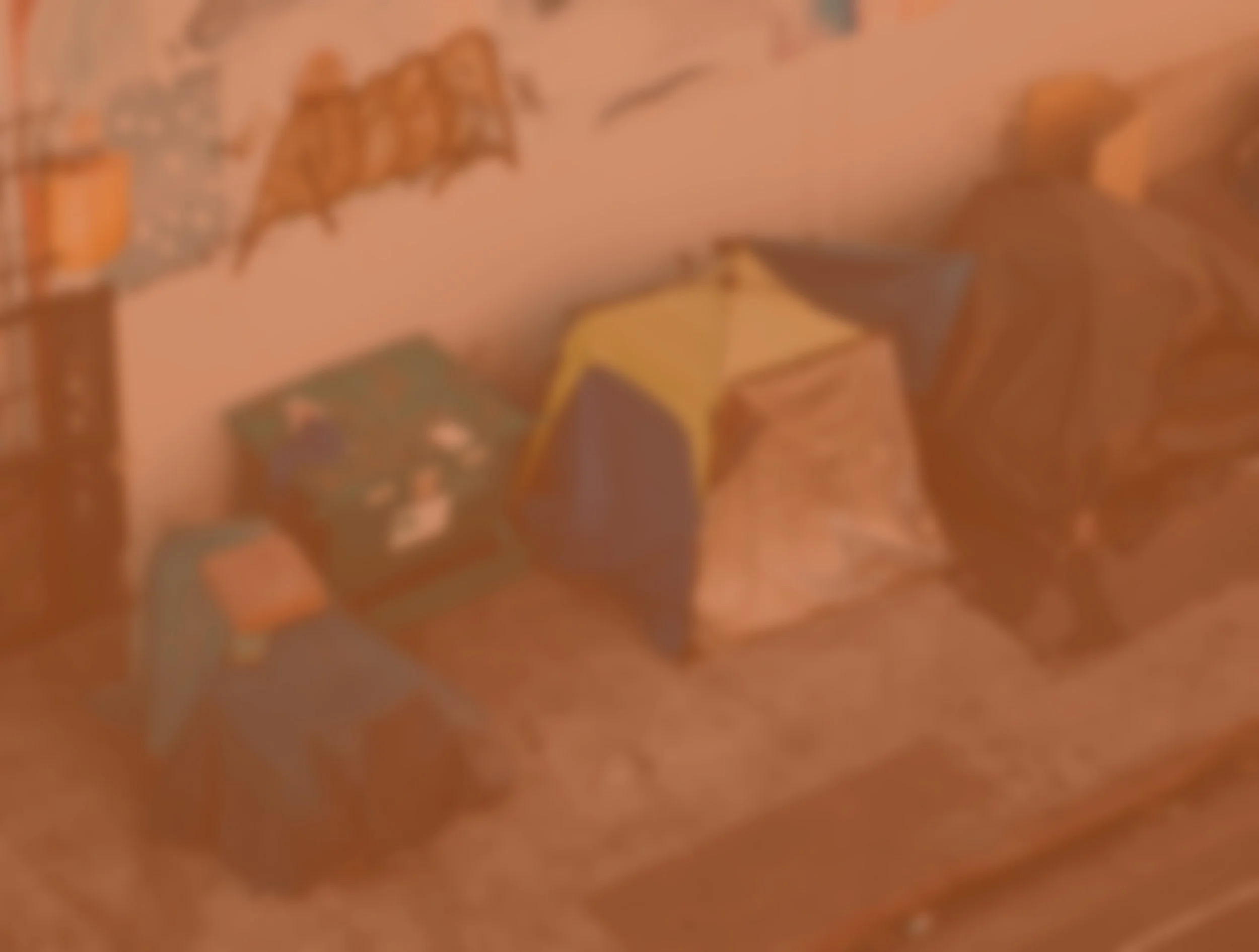 Homelessness