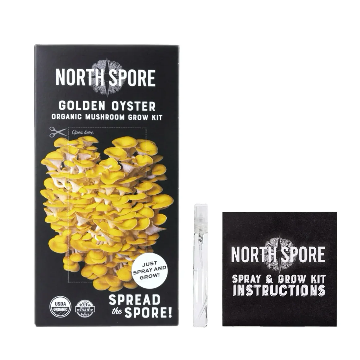 golden_oyster_mushroom_growkit4_1160x_crop_center.webp