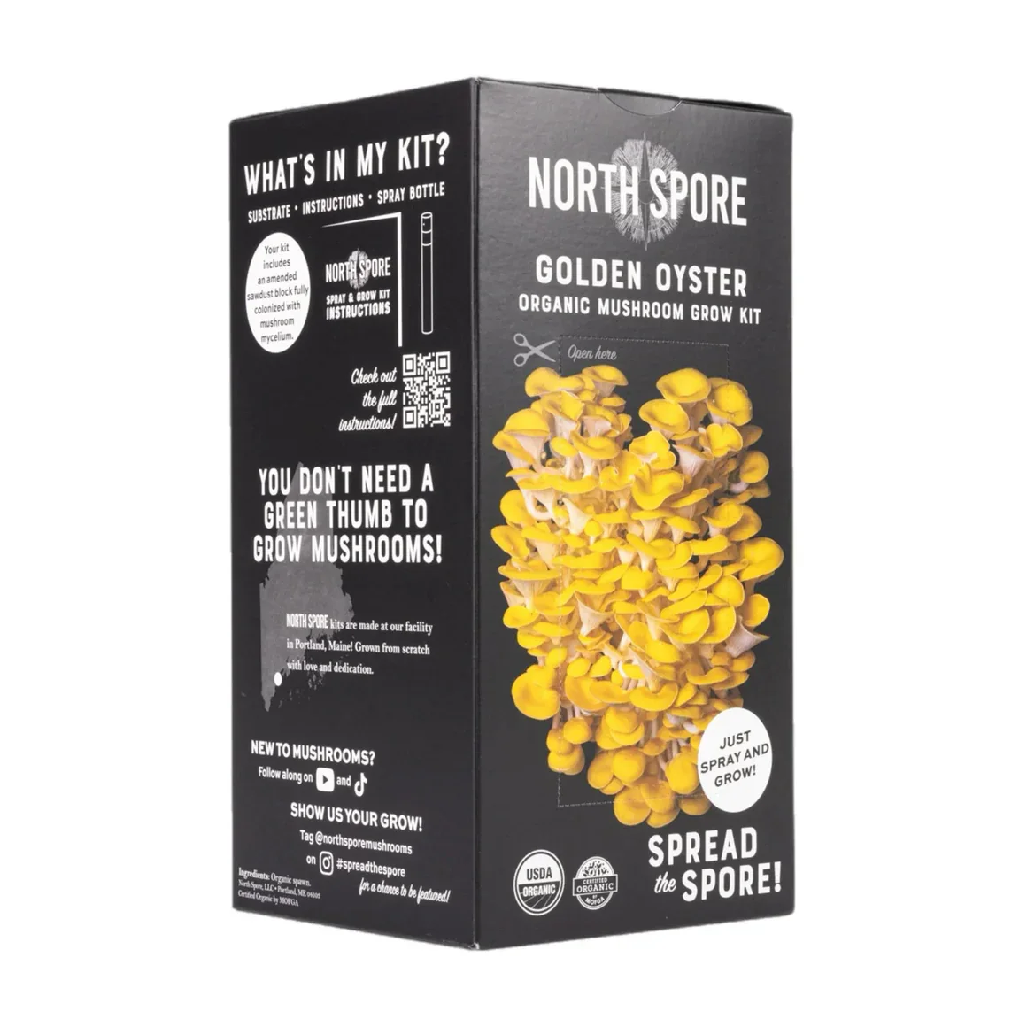 golden_oyster_mushroom_growkit3_1160x_crop_center.webp