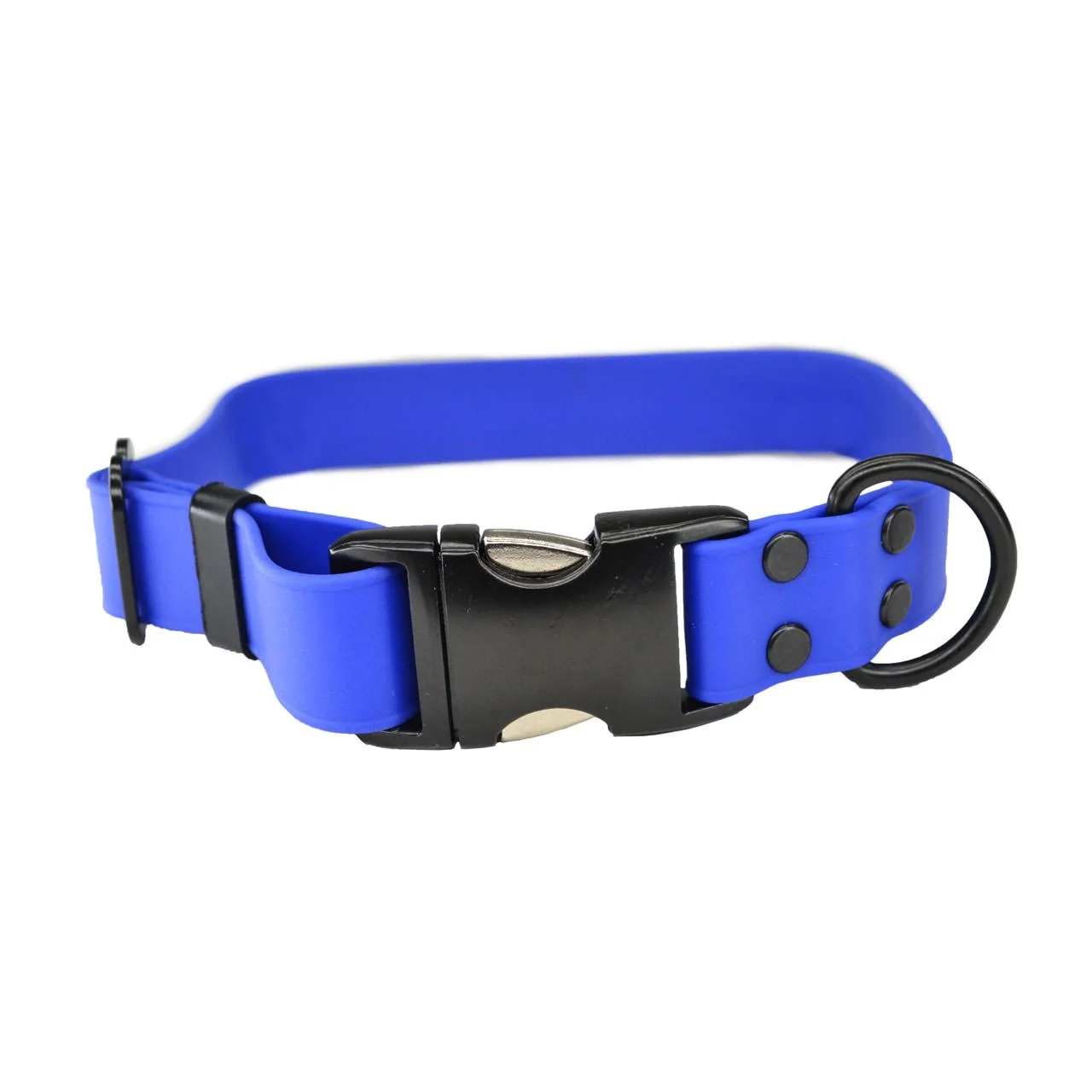 Biothane-Collars-Blue-ray allen.jpg