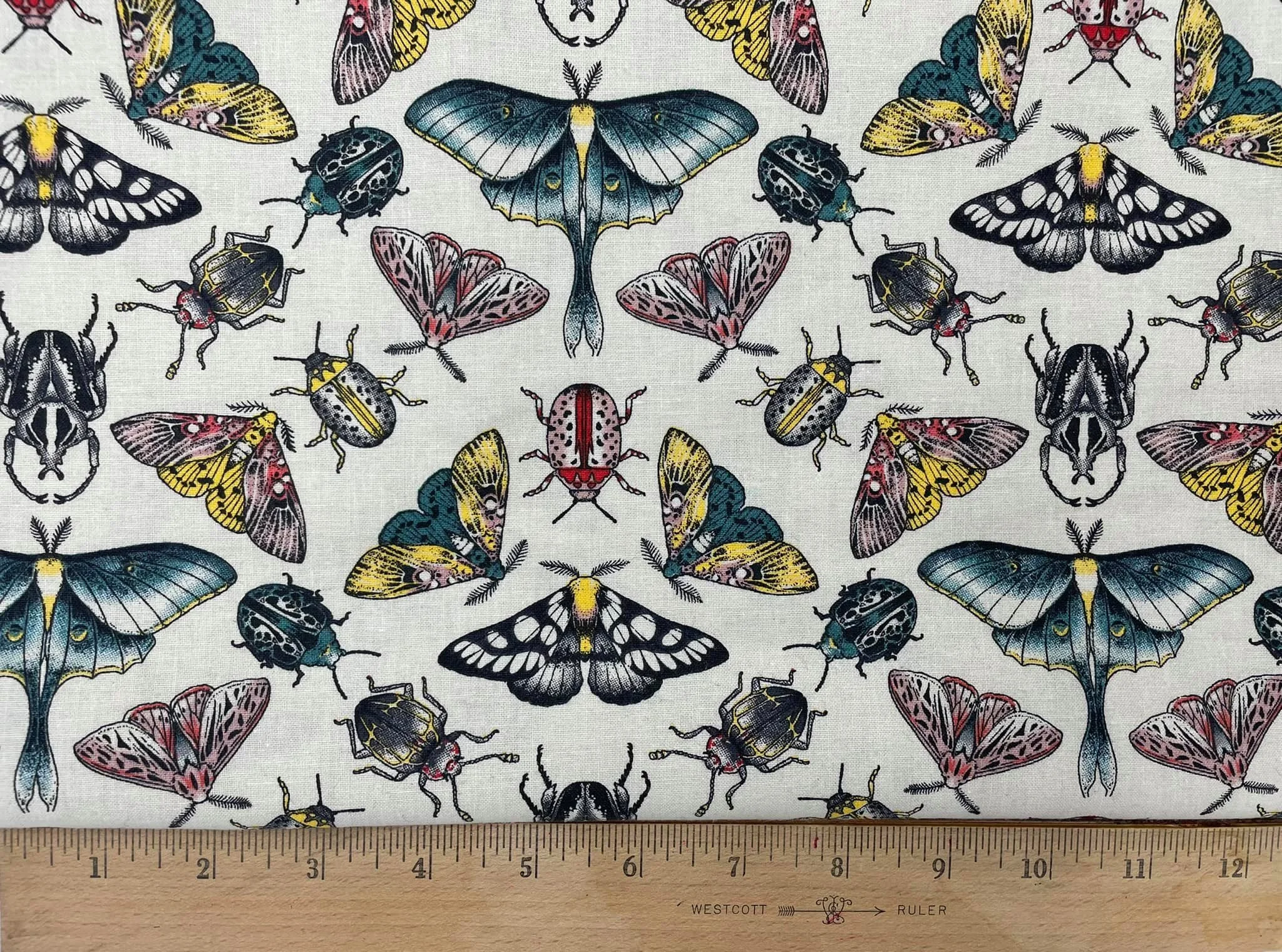 bug collar placeholder - large 2 inch.jpg