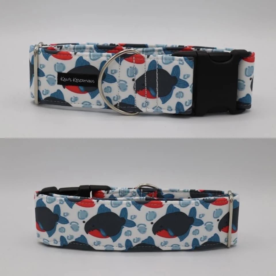 Piranha Buckle Collar - Large 2 inch.jpg
