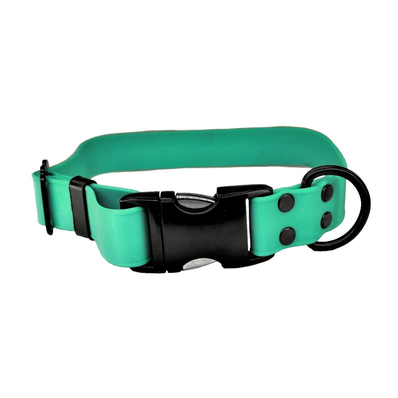 Biothane_Teal_ray allen.jpg