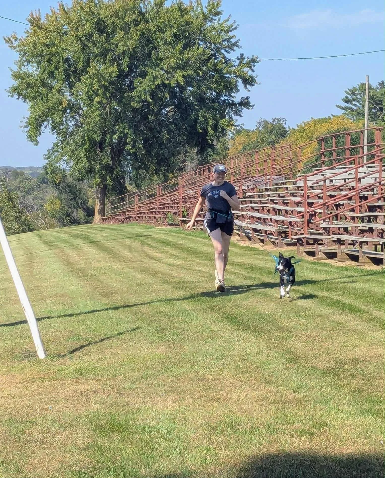 Casey running at Eitzen event dog powered sports club.jpg