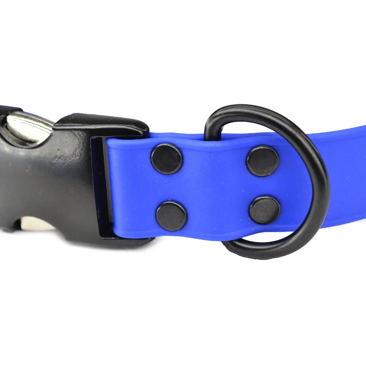 Biothane-Collars-Blue-D ring ray allen.jpg