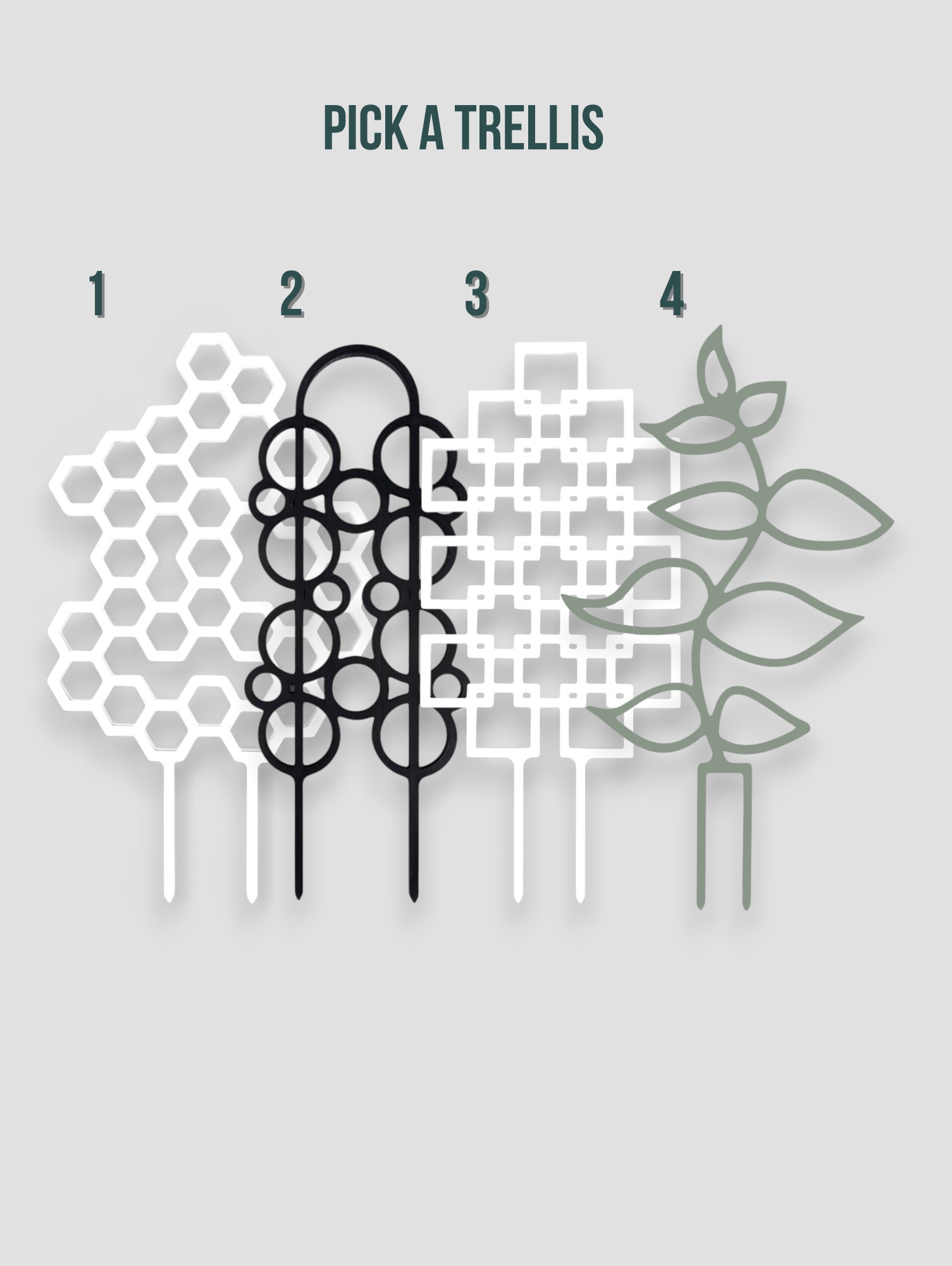 trellis numbered.png