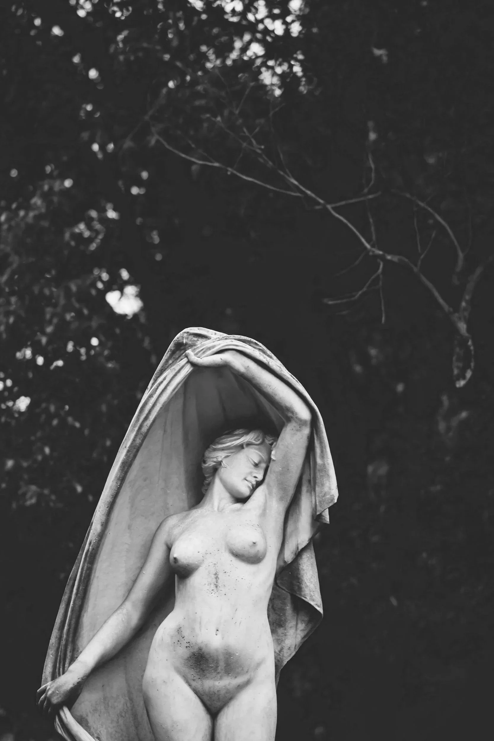 120. What Jupiter Teaches Us About Growth, Expansion, and Breaking Out of Stagnancy