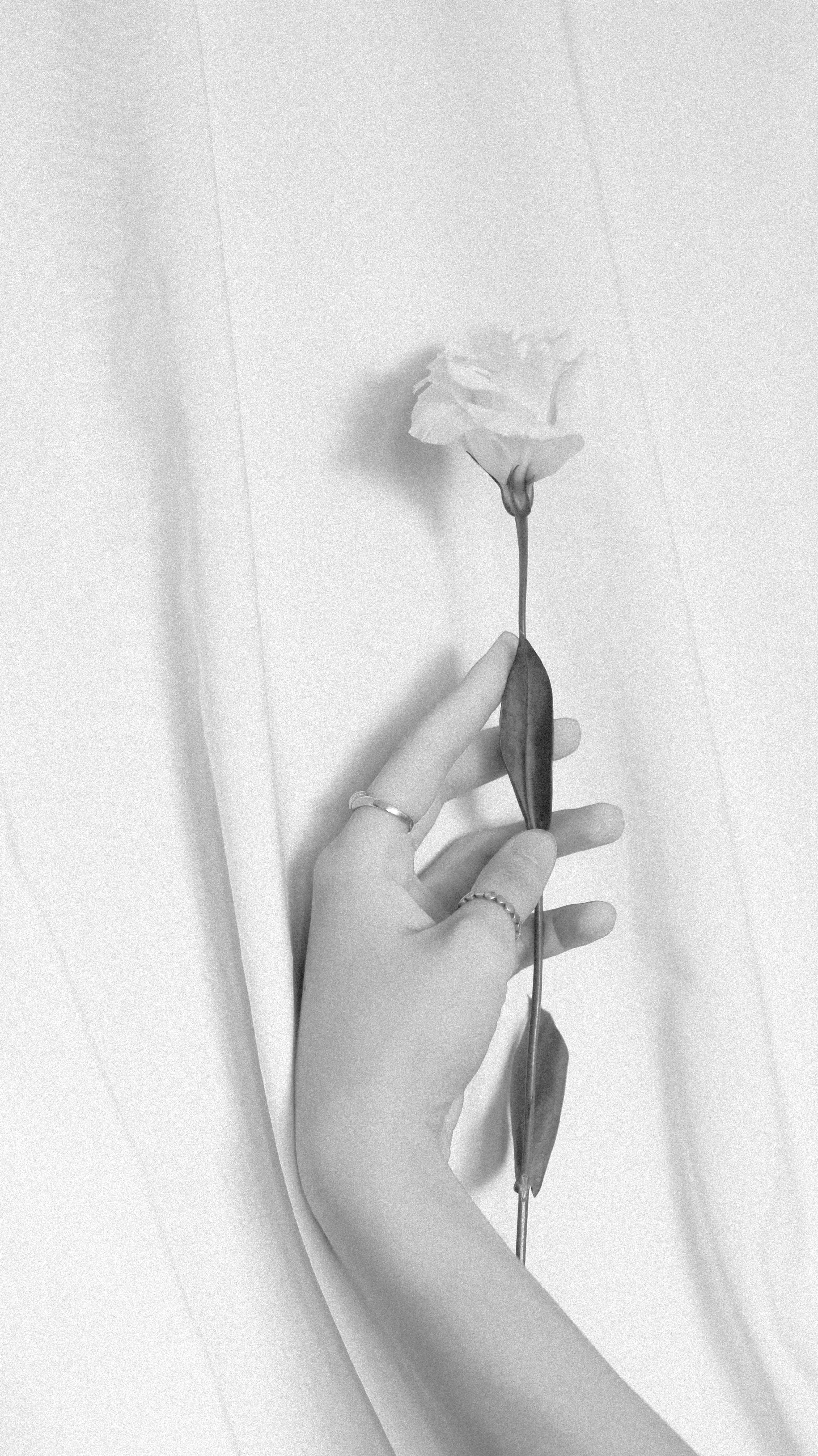 Aquarius/Leo Nodal Shift 2026: Medical Astrology &amp; What It Means for Your Body with Dr. Divya