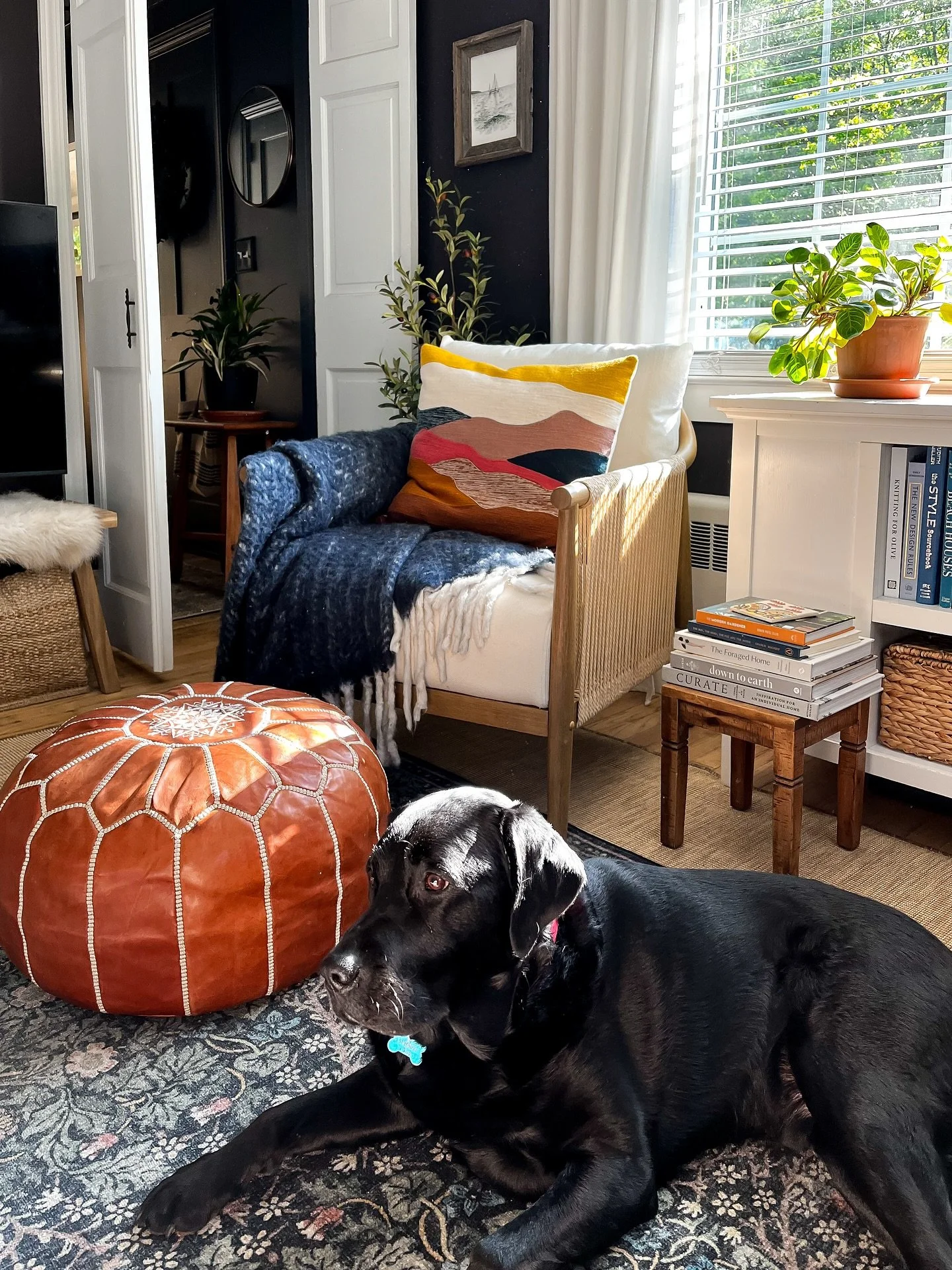There&rsquo;s a crisp in the air this morning - it says &ldquo;Fall is Coming&rdquo; and we are ready for it, in all its cozy glory. 

#neilandesignstudio #ruggable #westelm #benjaminmoore #cornersofmyhome #cozyhomedecor #cozyhomeshots #cozyhomestyle