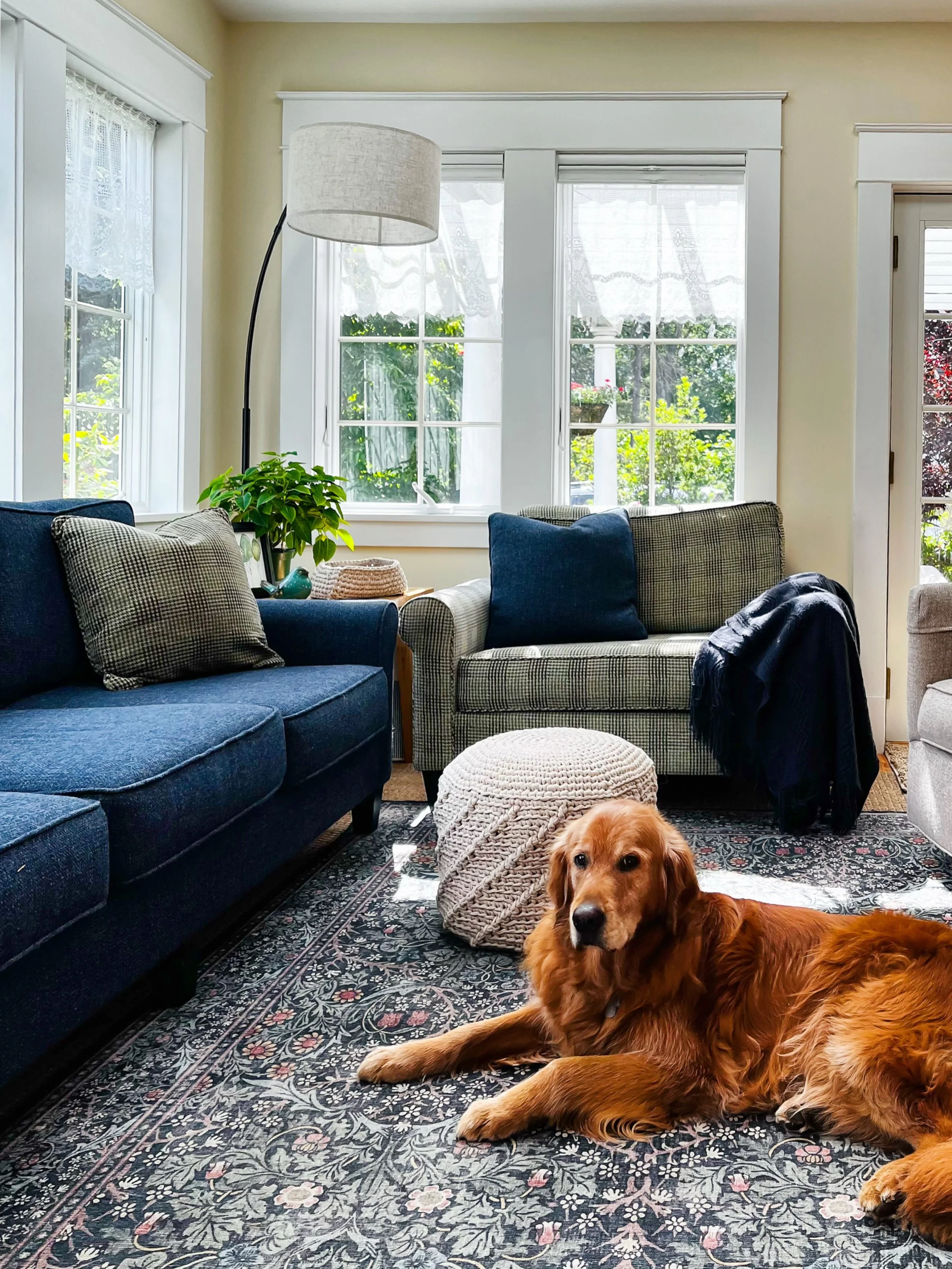 Fur babies agree&hellip; your home should be a place you enjoy spending time in - where you can relax after a long day and feel like you&rsquo;re in *your* space.

#neilandesignstudio #thisoldhouse #loveyourhome
#cozylivingroom #ctinteriordesign