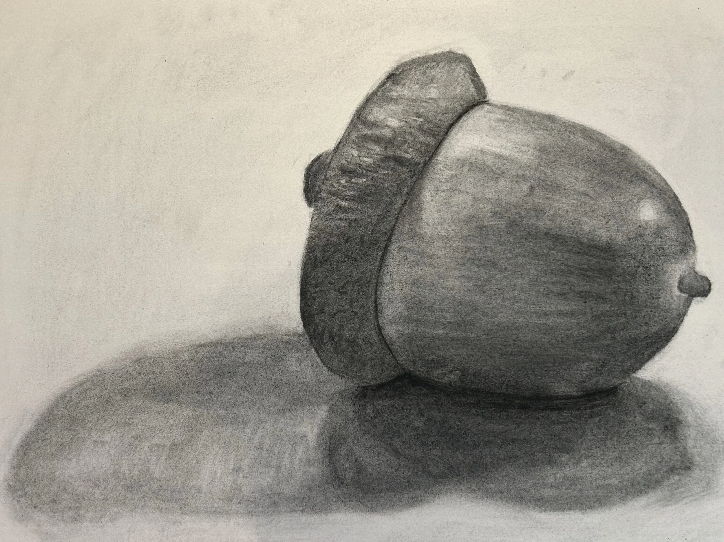 acorn.jpeg