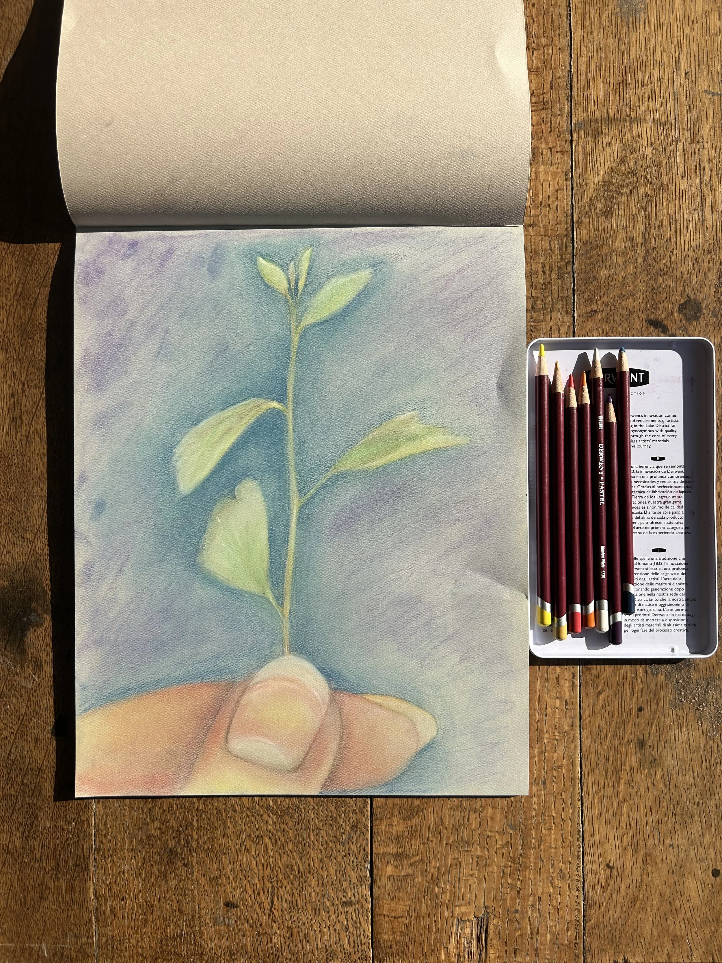 2025.05 sprout pastel.jpeg