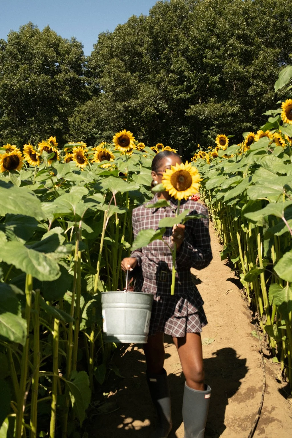 8 Reasons Why This is The Best Family Farm to Visit in MA This Fall