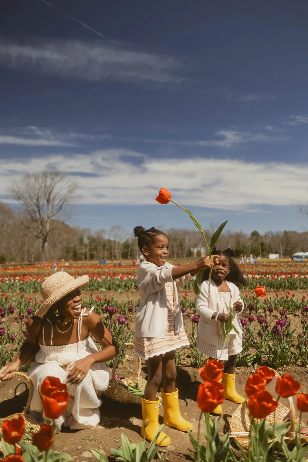 Where To Go Tulip Picking In New England + NY