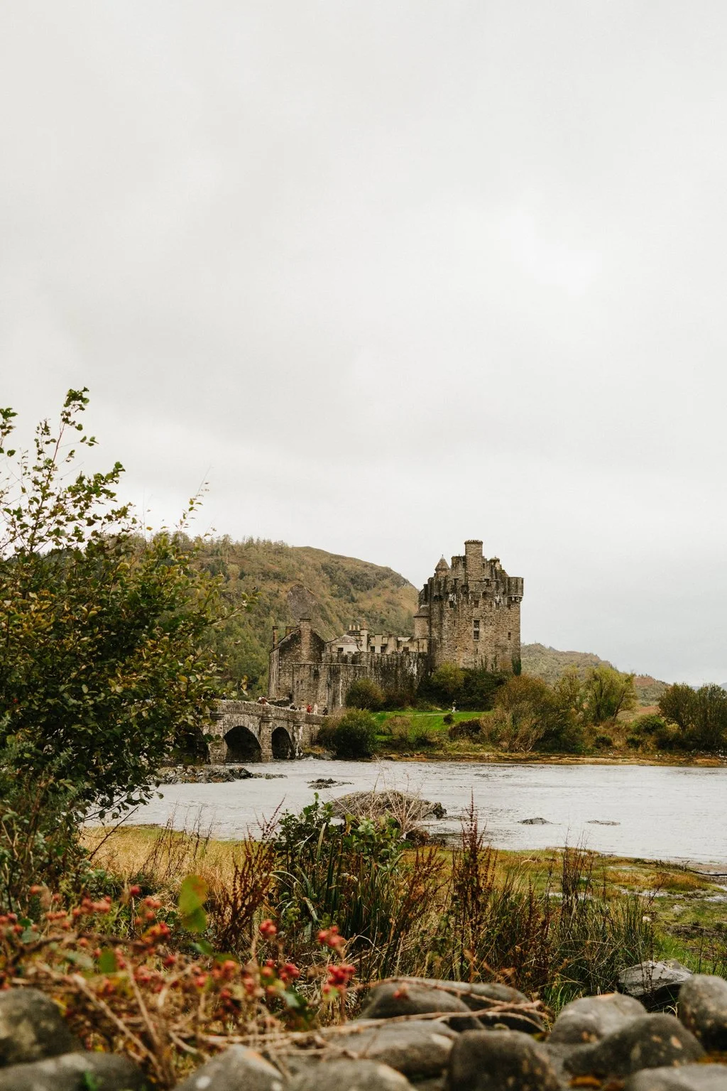 DSCF3775.jpg