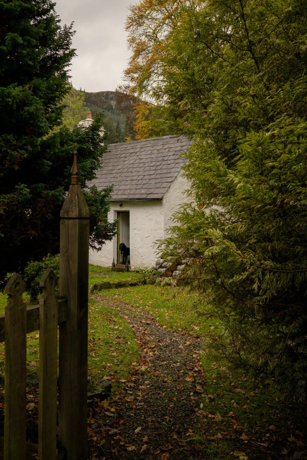 DSCF3950.jpg