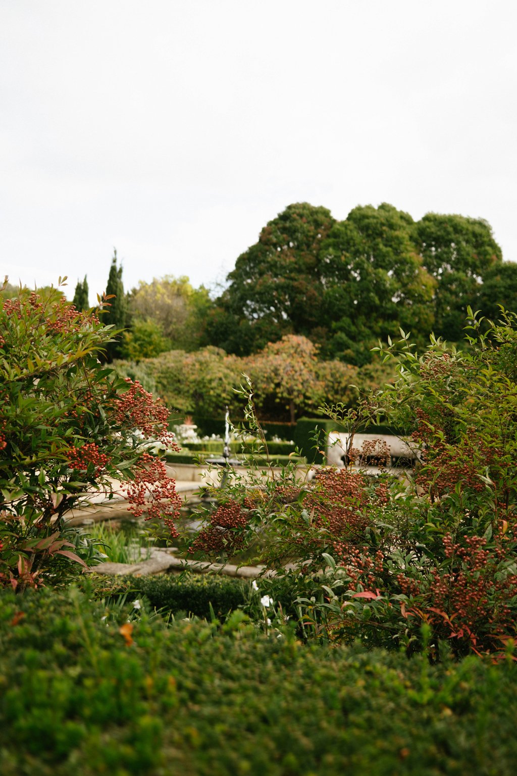 DSCF4022.jpg