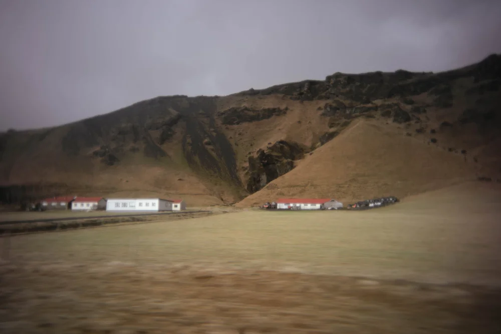0Y9A0331.jpg