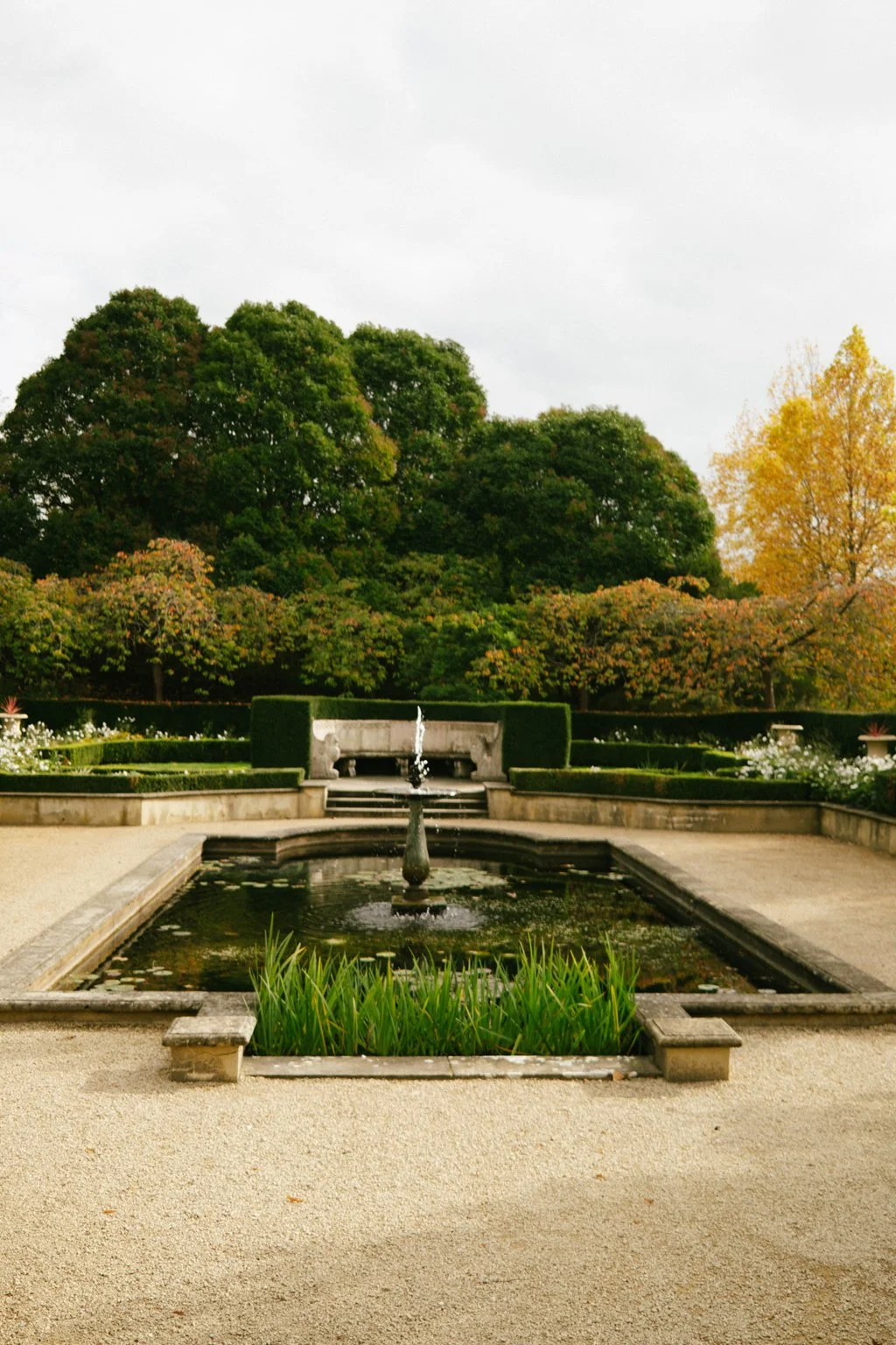 DSCF4009.jpg