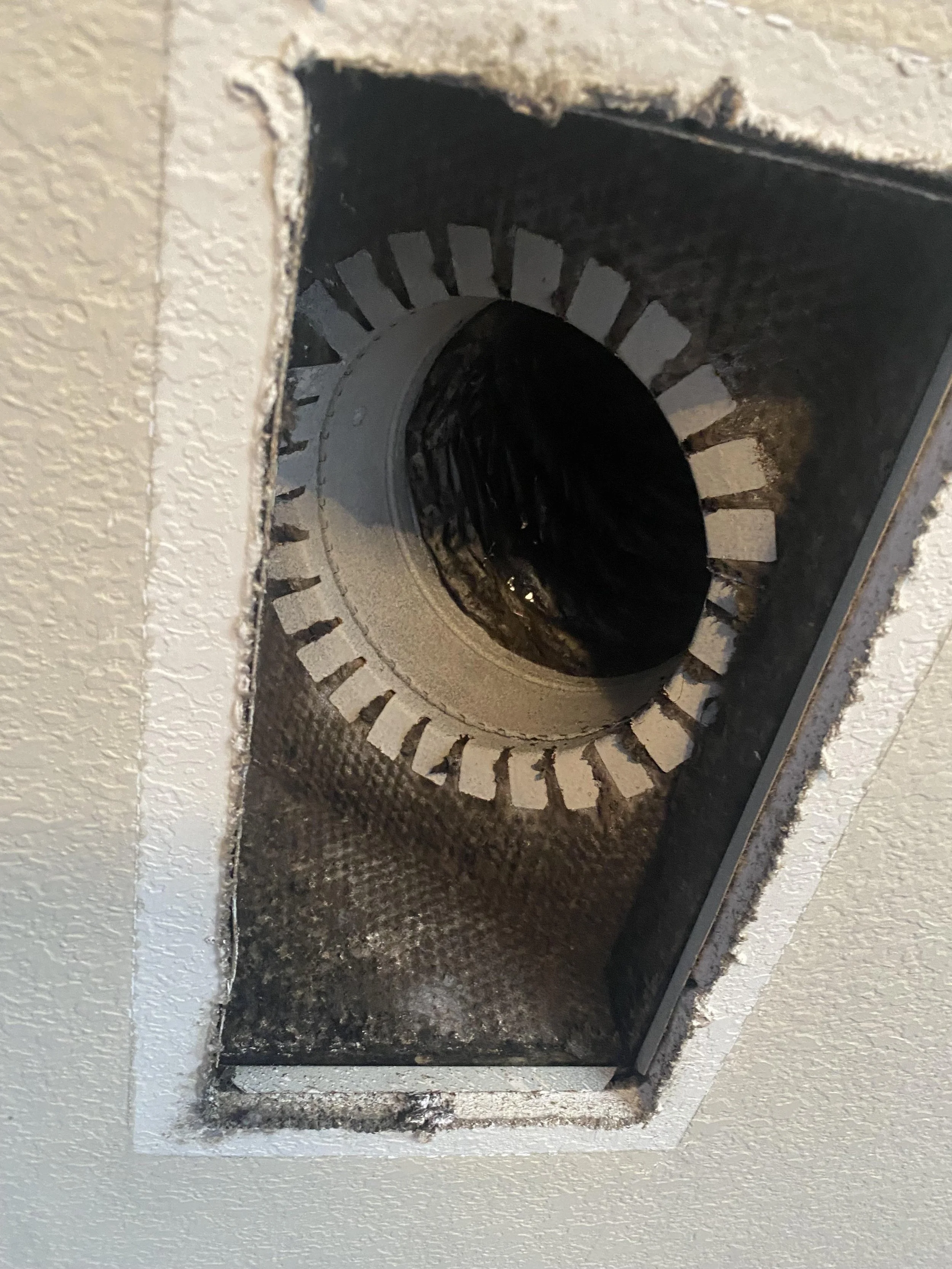 Why Your AC Smells Like Mildew (And How to Get Rid of It for Good)